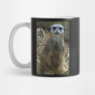 meerkat Mug